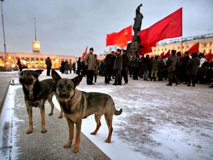  Уличные снимки фотографа Александра Петросяна