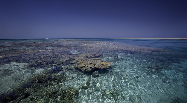 Устали от экзотики Брума? К 260 км от Брума находятся рифы Роули, самая большая территория в мире для дайвинга