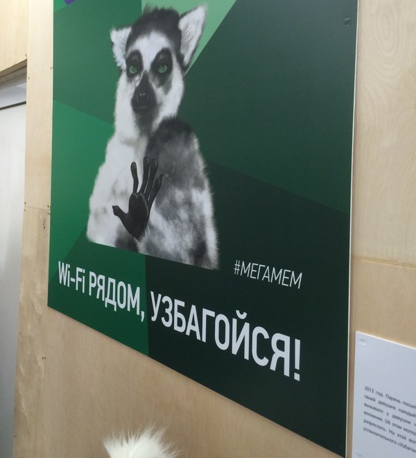 Узбагойтесь!