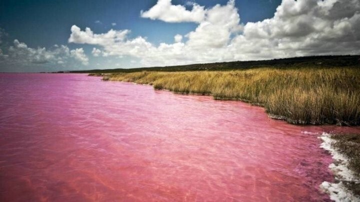 Уникальное алтайское озеро, которое каждый август розовеет