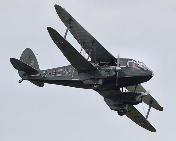 de Havilland Dragon Rapide, аналогичный разбившемуся.