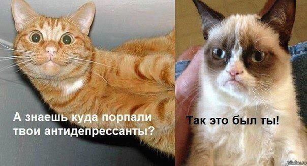 Не много баянов