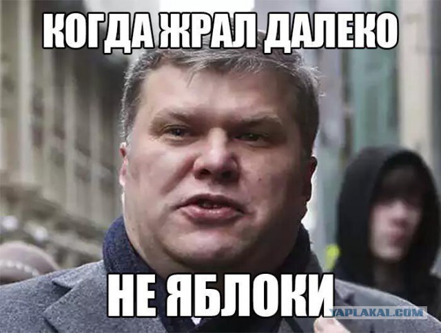 Митрохин и Мемоблоко