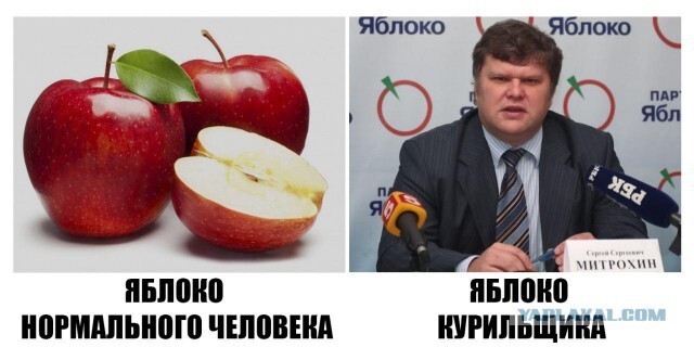 Митрохин и Мемоблоко