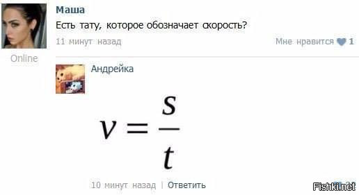 Из солянки