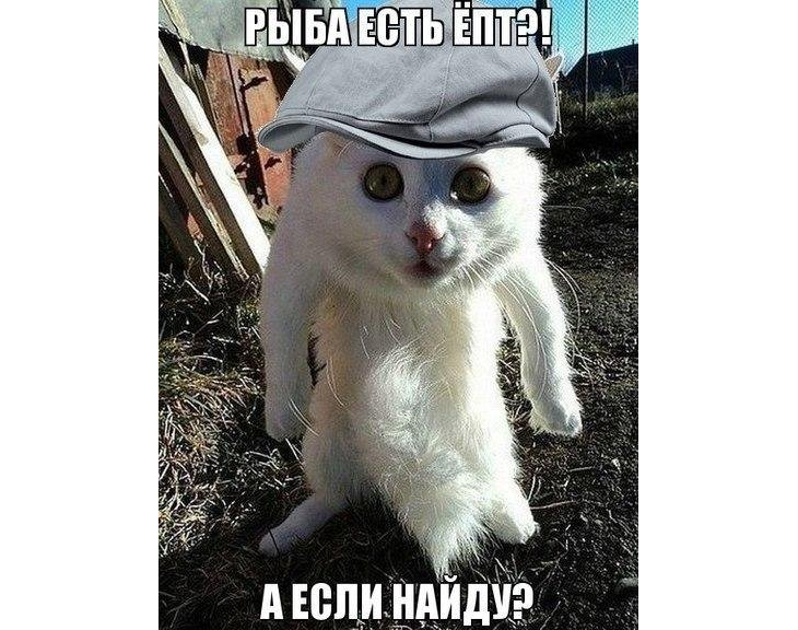 Рыба Есть? А если найду!