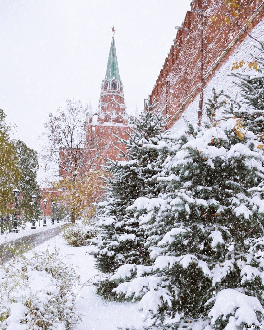 Зима у Кремлевской стены