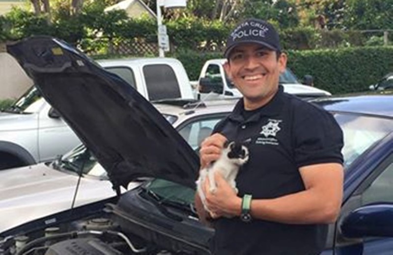 Сотрудник полиции спас котенка, застрявшего под капотом автомобиля