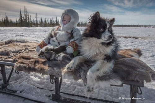 Прикольные и смешные зверушки