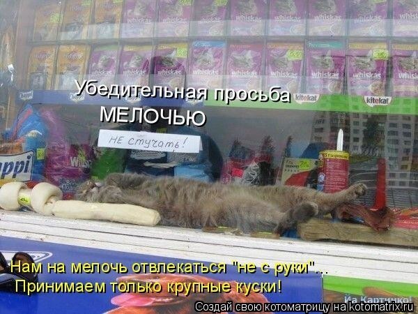 Прикольные и смешные зверушки