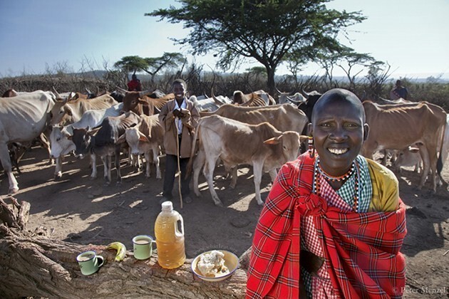 Нулкисаруни Тараквай, третья жена вождя племени масаи, Кения - 800 калорий в день