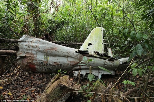 Обломки японского истребителя «Зеро» в лесу на острове Гуадалканал, Соломоновы острова.