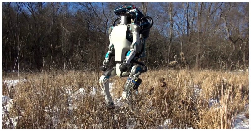 Так зарождался SkyNet: непростая жизнь робота Atlas из Boston Dynamics