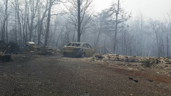 Впопыхах Холмсы забыли домашнего хряка по кличке Чарльз