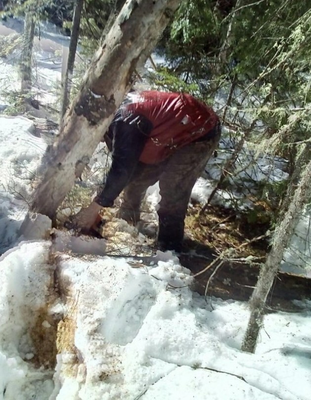 Пилимся, едем. 