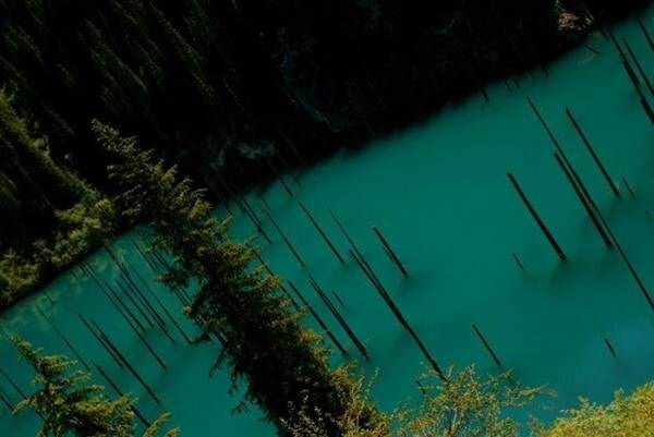Озеро Каинды в Казахстане: затонувший лес