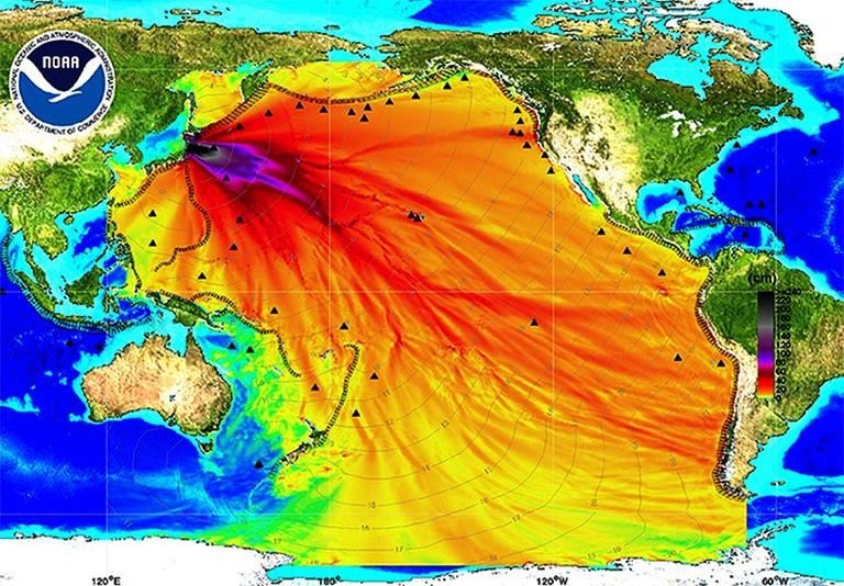 Карта заражения Тихого океана (Фото Национального океанического и атмосферного управления США)
