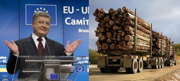 Отменит ли всё-таки Киев мораторий на экспорт леса в угоду ЕС?