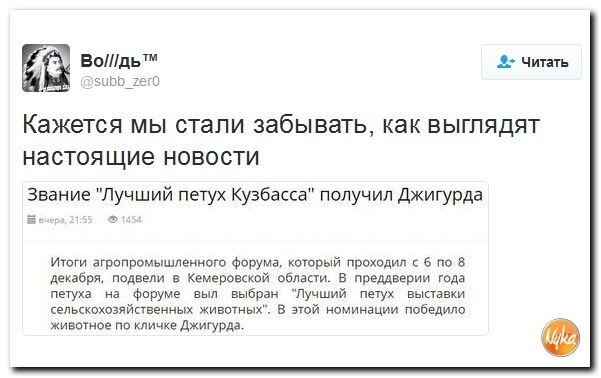 Политические комментарии соцсетей - 33