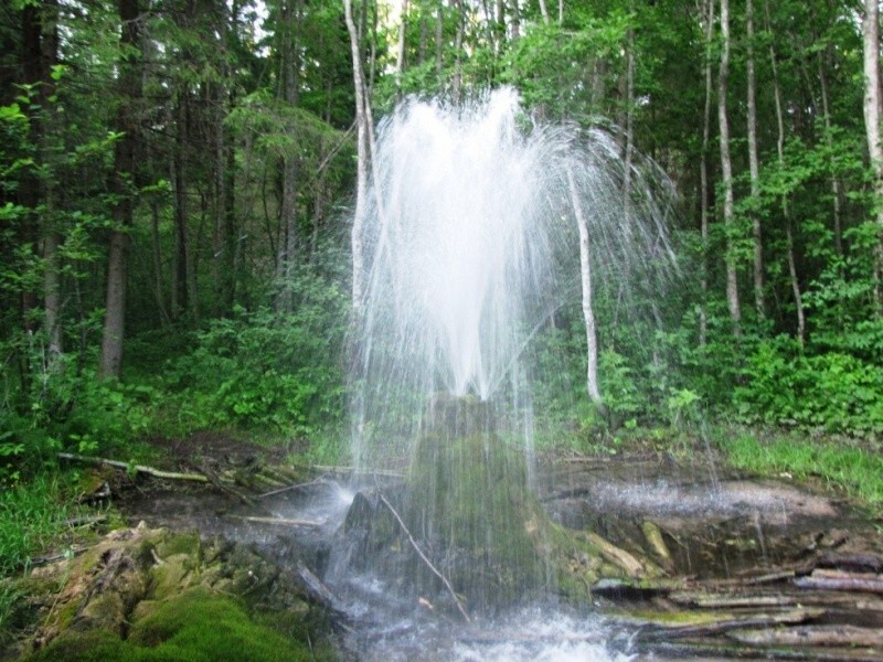 Гейзеры в Гатчинских лесах Ленинградской области
