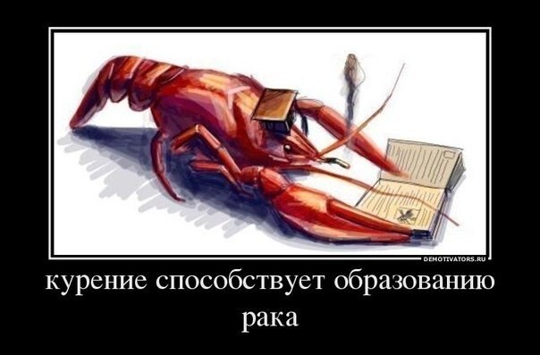 Большая подборка смешных картинок, политических и не только Часть 2 150+