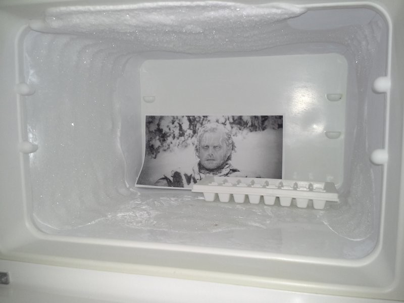 Его сиятельство, кухонный самодержец - холодильник