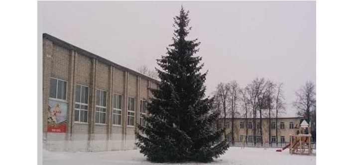 Главная площадь села Ярково, где чиновники установили спиленную ель