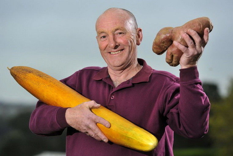 Джо Атертон, который увлекается разведением овощей, держит огурец длинной 80 см и картофелину, весом 1.5 кг.