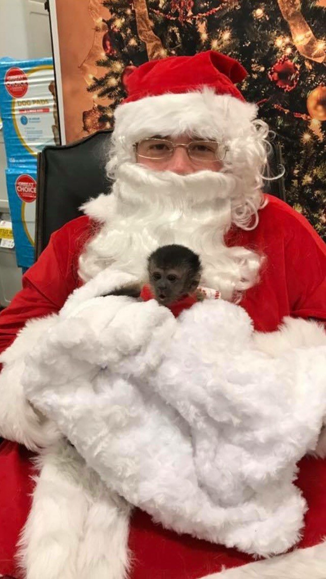 Санта с обезьянкой 