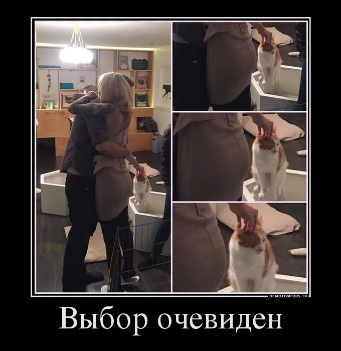 Немного демативаторов