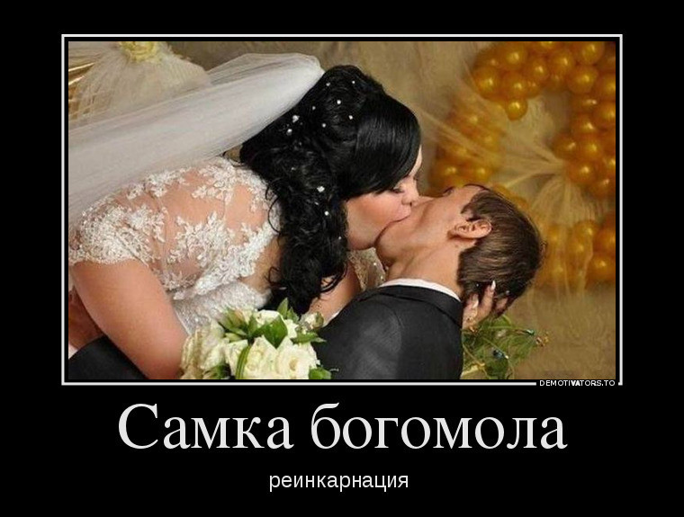 Немного демативаторов