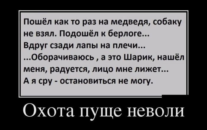 Демотиваторы