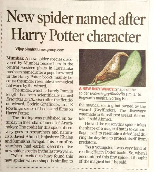 «Когда мы обнаружили этого крошечного паука, я подумал о Распределяющей шляпе», - рассказал ученый Джавед Ахмед, который в подростковом возрасте любил книги о Гарри Поттере.
