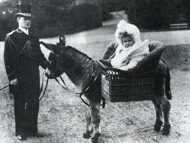 Цесаревич Алексей на прогулке, Царское село, 1906.