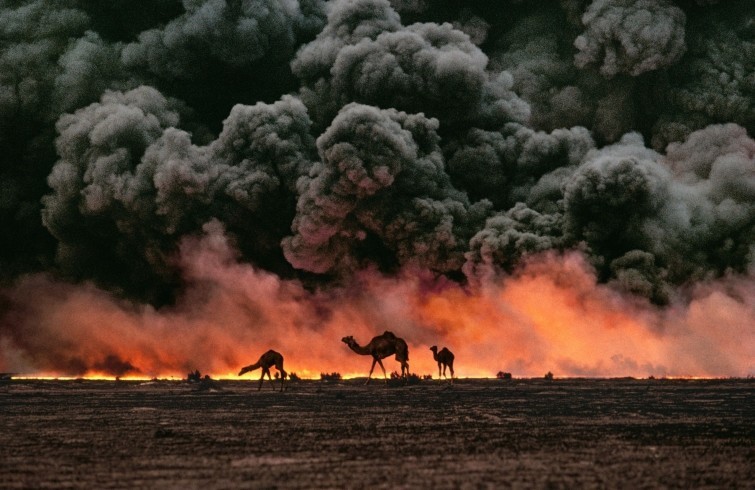 Верблюды в поисках воды на фоне горящих нефтяных месторождений, Кувейт, 1991 год  