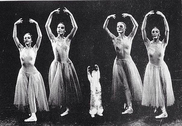 Кошка легендарного хореографа Джорджа Баланчина, Мурка, участвует в репетиции балета. США, 1970-e  