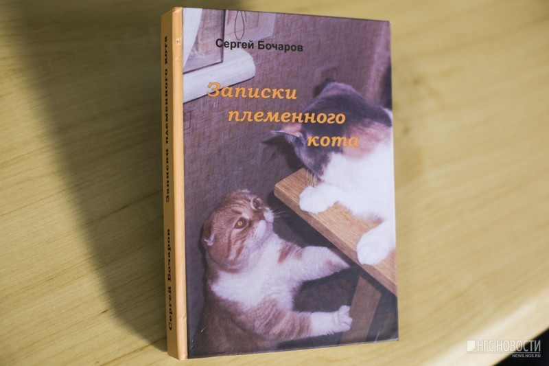 Новосибирец написал книгу в память об умершем от рака коте