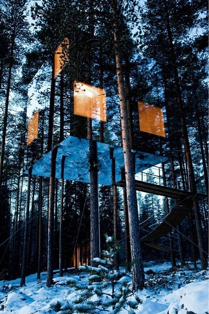 Зеркальный дом на дереве в Швеции   