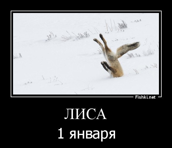 Лиса