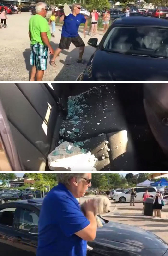 47. Мужчина разбил стекло машины,чтобы спасти собаку, умирающую от жары 