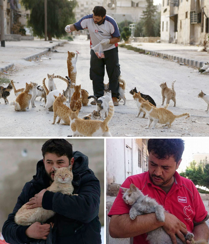 2. Сириец каждый день кормит бездомных кошек в охваченном войной Алеппо