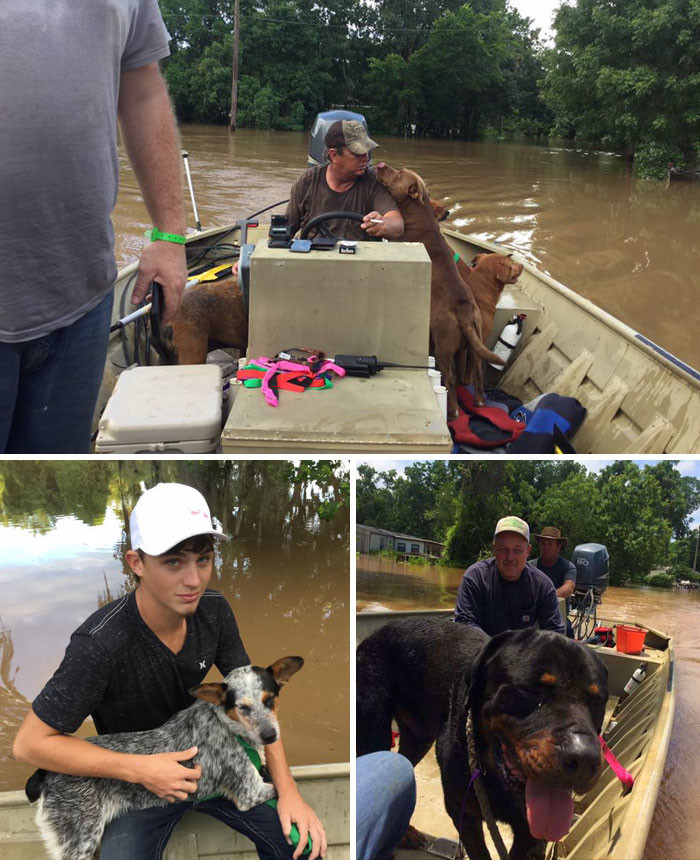 7. Отец с сыном спасли 30 собак во время наводнения в Бразории, штат  Техас