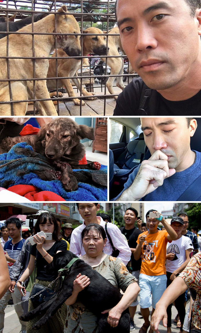 4. Мужчина спас 1000 собак от съедения на китайском фестивале, за что потом был жестоко избит 