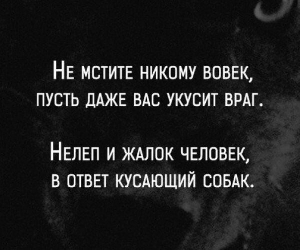 Начальству не объяснить, что если работа — любимая, то на ней хочется спать!