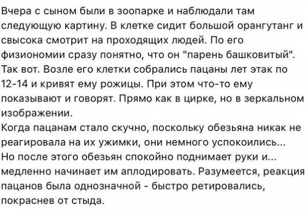 Начальству не объяснить, что если работа — любимая, то на ней хочется спать!