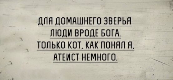 Для успеха в 2017 году дружно кукарекаем под бой курантов!