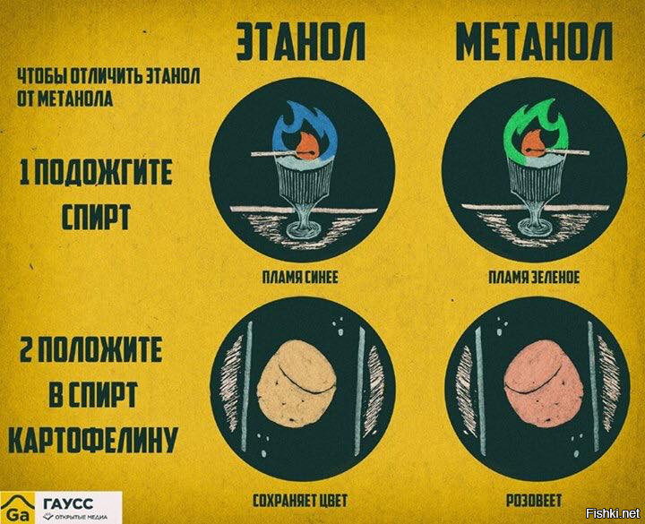 Из солянки