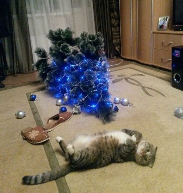 Миссия выполнена! Коты против новогодних ёлок