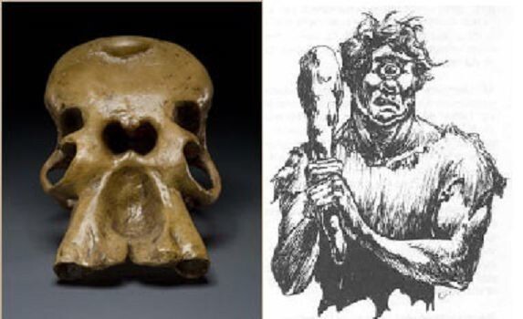 11. Считается, что ископаемые черепа мамонтов послужили прообразом для создания циклопов — большой размер, ноздри, напоминающие огромный глаз и немного греческого воображения...
