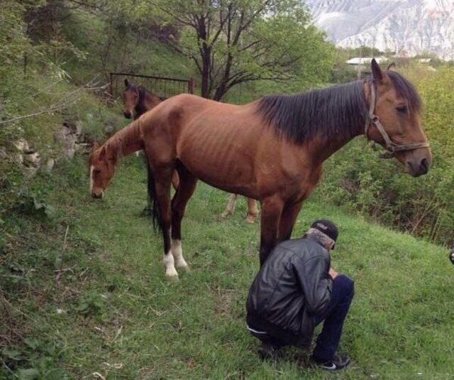 Фотографии, к которым нужно присмотреться